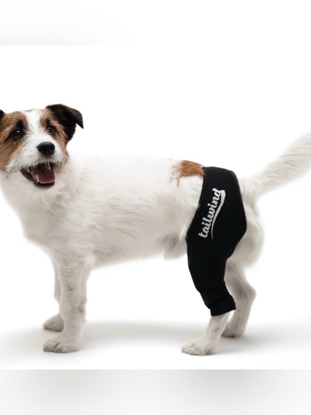 Tailwindpets Single Knee Brace Left Side Black XS NWT IN PACKAGE